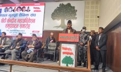 ‘लोकतन्त्र बलियो भएमा मात्र मुलुक समृद्ध बन्छ’