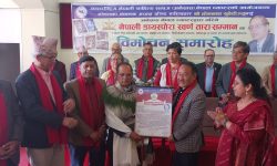 साहित्यकार सुवेदीका चार कृति लोकार्पण