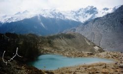 धुम्बा ताल Hidden Gems