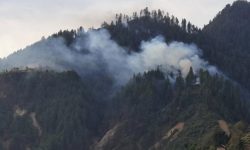 काभ्रेको गोरखनाथ सामुदायिक वनमा डढेलो