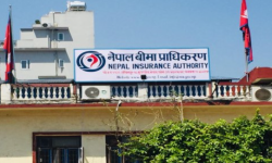 बीमा प्राधिकरणद्धारा लगानी व्यवस्थापन इकाई स्थापना गर्न बीमकलाई निर्देशन