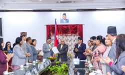 संसद्को भूमिका प्रभावकारी बनाउनुपर्नेमा राष्ट्रपतिको जोड