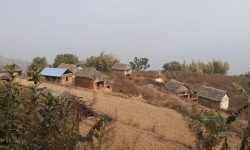 बाँदर आतङ्कले बसाइँसराइ बढ्दा बस्ती नै खण्डहर