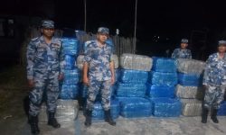 उदयपुरको मुर्तीखोलाबाट करीव ८९१ किलो गाँजा बरामद