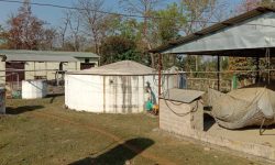 विद्युत् लाइन काटिएपछि ग्यास प्लान्ट अलपत्र