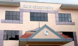 दोषीमाथि कानुनी कारबाही गर्न पत्रकार महासङ्घको माग