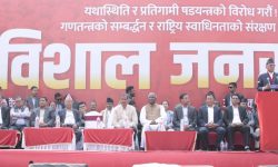 सार्वभौम जनतालाई रैती बनाउने प्रयास असफल पारिन्छ : अध्यक्ष दाहाल