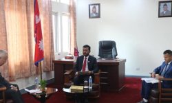 मन्त्री यादव र नेपालका लागि जापानका राजदूत तोरुबीच भेटवार्ता