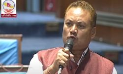 तीनकुने घटनाका दोषीलाई कारबाहीको दायरामा ल्याउन माग