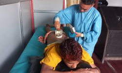 आयुर्वेदिक उपचारप्रति आकर्षण बढ्दै