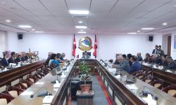 प्रधानमन्त्रीको थाइल्यान्ड भ्रमण र बिम्स्टेकको शिखर सम्मेलनमा सहभागिताबारे पूर्वप्रधानमन्त्री र पूर्वपराराष्ट्रमन्त्रीसँग परामर्श