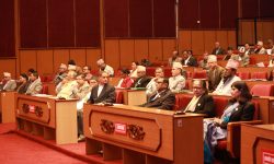 राष्ट्रियसभाबाट निजीकरण अध्यादेश २०८१ स्वीकृत