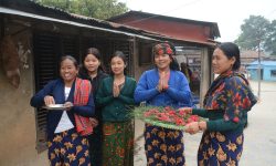 पर्यटक पर्खिरहेको गिरानचौर