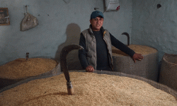 विदेश र बजारबाट गाउँ फिरेका ध्रुर्व रैथाने खेती