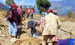 श्रमदानबाटै सिँचाइ योजना मर्मत