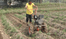 आलु खेतीमा आधुनिक यन्त्र प्रयोग गर्दै किसान