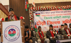 देश सङ्कटमा पर्दा कांग्रेस र एमालेबीच सधैँ सहकार्य : वरिष्ठ उपाध्यक्ष पोखरेल