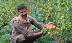 ‘जुन बारी बाँझो राखेर कमाउन विदेश गएँ, आज त्यसैले सम्पन्न बनाउँदैछ’