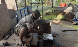 संकटमा आरन पेसा