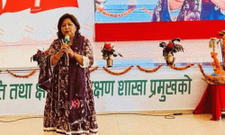 परराष्ट्रको काम ‘रेस्क्यु’ गर्ने जस्तो मात्र भयो : परराष्ट्रमन्त्री