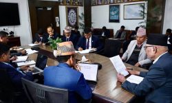 अर्थमन्त्रीले भने- स्थानीय र प्रदेशको काम संघले गर्नु संविधानको मर्मविपरीत हुन्छ