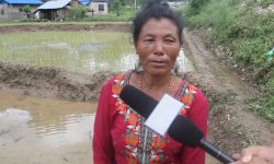 फिरन्ते वनकरियाको जीवनशैली फेरिँदै