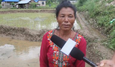फिरन्ते वनकरियाको जीवनशैली फेरिँदै