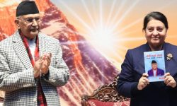 केपीलाई विद्या भण्डारीले भनिन् : कम्युनिस्ट आन्दोलनलाई एकताबद्ध गर्नुस्