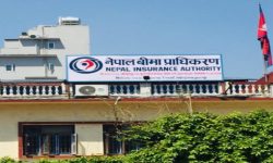 प्राधिकरणका निर्देशकहरूको जिम्मेवारी हेरफेर तथा पदस्थापना