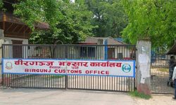 वीरगञ्ज भन्सारद्वारा एक खर्ब नौ अर्ब राजस्व सङ्कलन