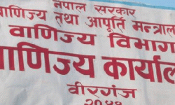 एघार कर्मचारी भएको कार्यालयलाई १० जिल्लामा बजार अनुगमनको जिम्मेवारी