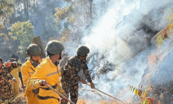 पाल्पाको जङ्गलमा डढेलो