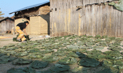 दुनाटपरी गाँसेर जीविकोपार्जनको उपाय खोज्दै महिला