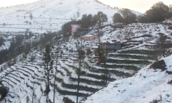 Farmers delighted with snowfall