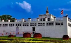 टेक्सस राज्य संसदद्वारा १३ मार्चलाई ‘नेपाली लुम्बिनी एड्भोकेसी डे’ घोषणा