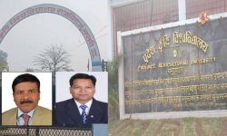 मधेश कृषि विश्वविद्यालयका उपकुलपति महतो र राजिष्ट्रार ठाकुर बर्खास्त