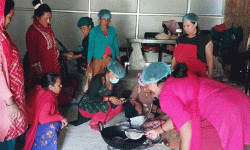 सिस्नो र गुन्द्रुक ‘ब्राण्डिङ’ गर्दै महिला