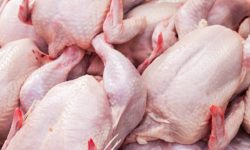 वीरगञ्जका ५० प्रतिशत मासु पसल अनुमतिबिना सञ्चालन