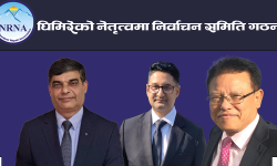 एनआरएनए उच्च स्तरीय समितिले गठन गर्यो निर्वाचन समिति