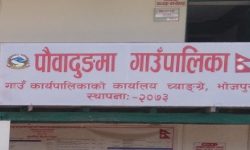 नसर्ने रोगका विरामीको पहिचान गर्दै ‘पौवादुङमा’