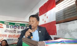 नयाँ सहरी आयोजनालाई व्यवस्थित गर्नेगरी अगाडि बढेका छौँ : उपप्रम सिंह