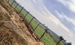 जङ्गली जनावरको आतङ्क रोक्न तारजाली जडान गरिँदै