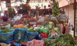 यस्तो छ आजको सागसब्जी र फलफूलको थोक मूल्य