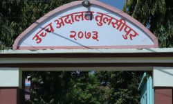 लुम्बिनीका विद्युतीय सवारीलाई हरियो नम्बर प्लेटमा परिवर्तन गर्न अदालतको परमादेश