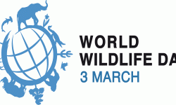 वन्यजन्तु संरक्षणमा जोड दिँदै संसारभर आज विश्व वन्यजन्तु दिवस मनाइँदै
