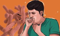 बागलुङमा आठ महिनामा १७९ जना क्षयरोगी भेटिए