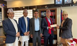 नेप्सेका नवनियुक्त सिइओले बुधबारदेखि जिम्मेवारी सम्हाल्ने