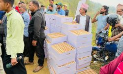 ढाकावाङका किसानलाई मौरी वितरण