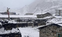 उत्तरी गोरखाको साम्दो क्षेत्रमा भारी हिमपात