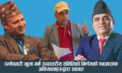 उम्मेदवारी खुला गर्ने उच्चस्तरीय समितिको निर्णयको एनआरएन अभियन्ताहरूले गरे स्वागत